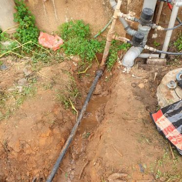 51094544_126059465108382_9101598293695135744_n (1)